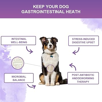 Dog Probiotic Chews 120 Count 6 Billion CFU, 6 Strains