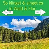  Und ewig singen die Wälder
