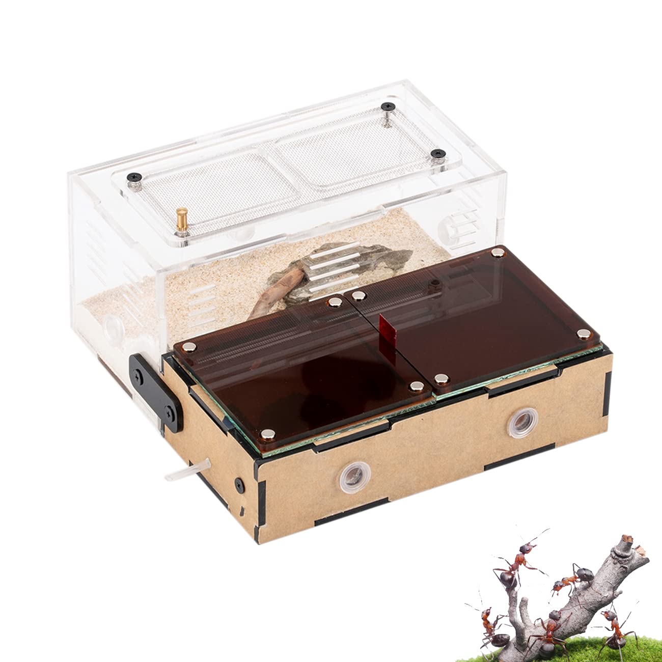 Ants Ecological Workshop, Insect Ant Nest, Concrete, High-density Stainless Steel Water Tower Network, Easy to Operate, Visual Water Tower (Water Tower Capacity 15-20ML)