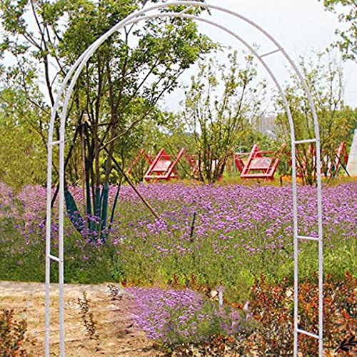 Arche de jardin en métal tuteur plante grimpante décoration extérieure
