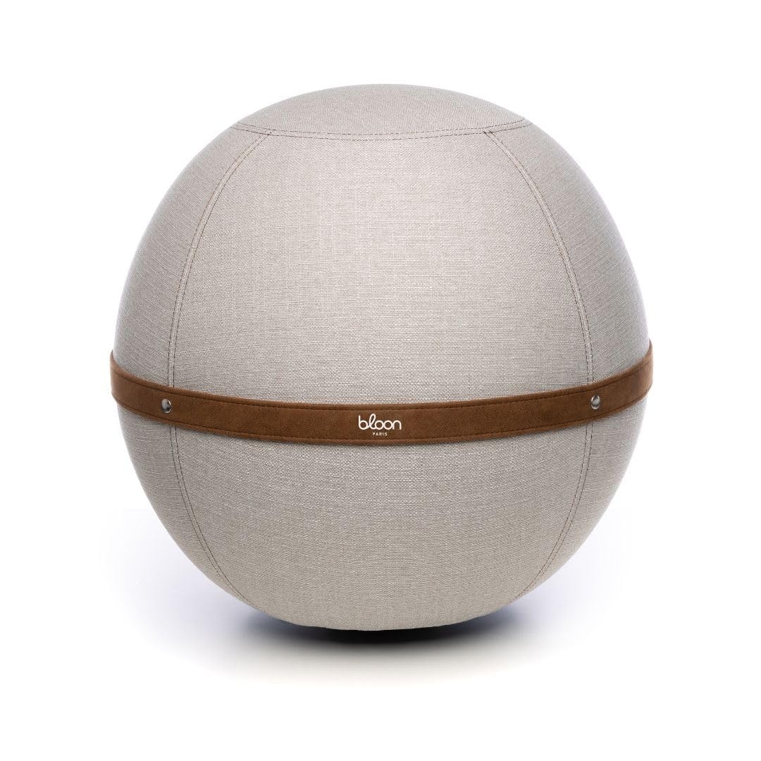 Amazon.com: Bloon Paris Bloon Desk Ball Chair 25.5in | Back Pain