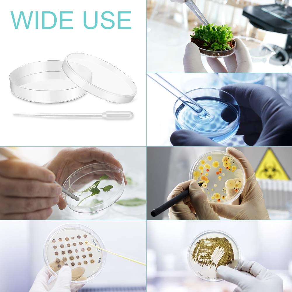 20 Pz Piastra di Petri Capsule Petri Plastica Trasparenti Piastre Coltura Batterica 90 mmx15 mm con 20 PCS Pipette di Trasferimento in Plastica 3ml per Laboratorio Esperimento Biologia