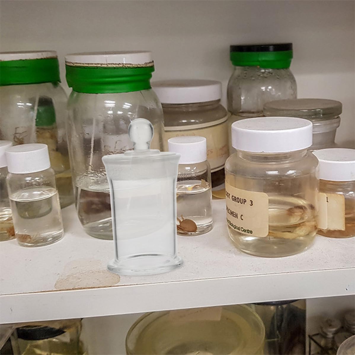 Abaodam 2 Pezzi Bottiglia da Laboratorio in Vetro Borosilicato Resistente al Calore, Sigillatura Ermetica e Spessore Rinforzato per Conservazione Sicura di Campioni in Ambienti Scientifici