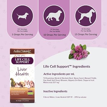Amber NaturalZ Life Cell Support for Pets, Cellular & Liver Health, 1 fl oz | Provides antioxidant protection to support normal cellular function & helps the body's normal detoxification process in pets.