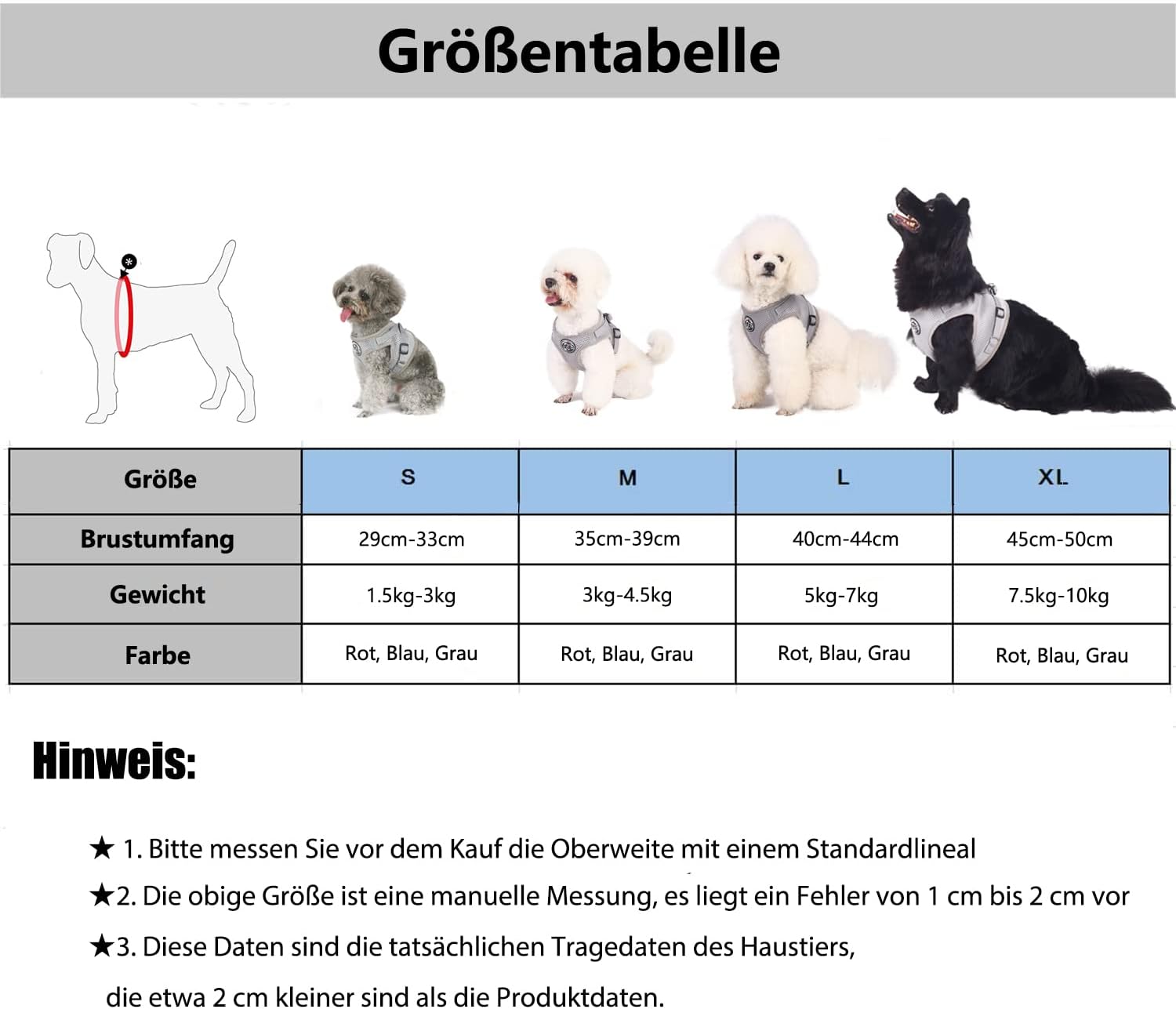 Kisállat visel hámot szabadban, fényvisszaverő csíkok láthatók