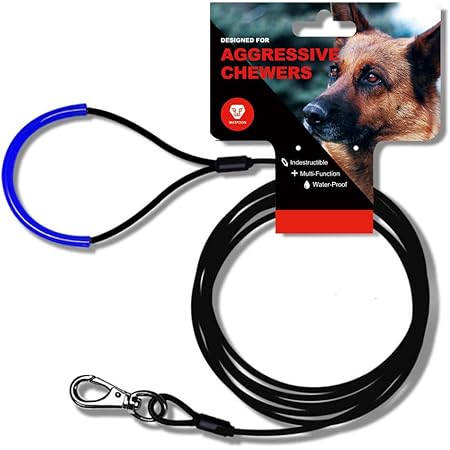 chew resistant leash