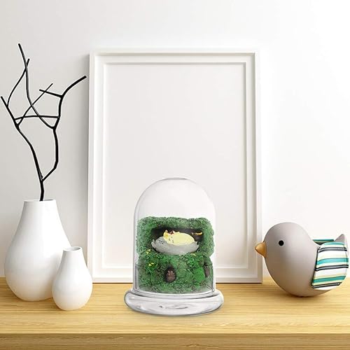 Miniatura 9 de Cúpula de vidrio para plantas, 2 unidades, tarro de campana de cristal con base redonda, tarro de cúpula de cloche de vidrio, botella de terrario,