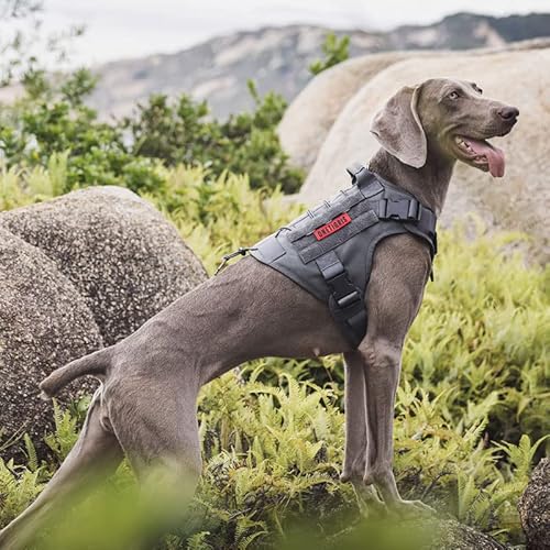 OneTigris Peitoral Para Cães, Peitoral Tático Para Colete Cães Com Alça, Sem Puxar, Fácil Ajuste Aju