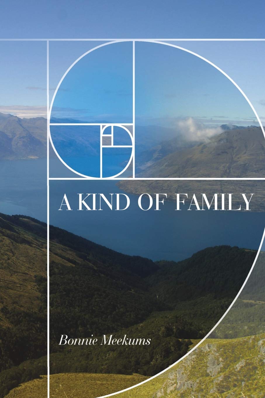 A Kind of Family by Bonnie Meekums (Paperback Book)