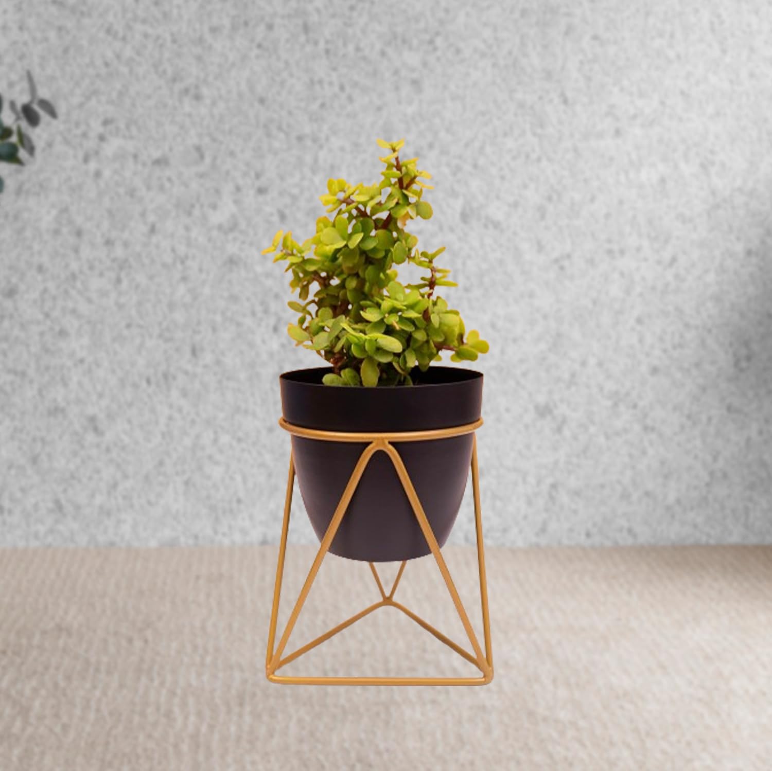Kuber Industries Planter | Planter Pot Stand for Outdoor | Planter Stand for Garden | Plant Stand for Home | Gamla Stand for Home | Metal Indoor Pots with Drainage Hole | Set of 1 | Black-Pack of 1 (B0CWP6DGPW) Amazon Price History, Amazon Price Tracker