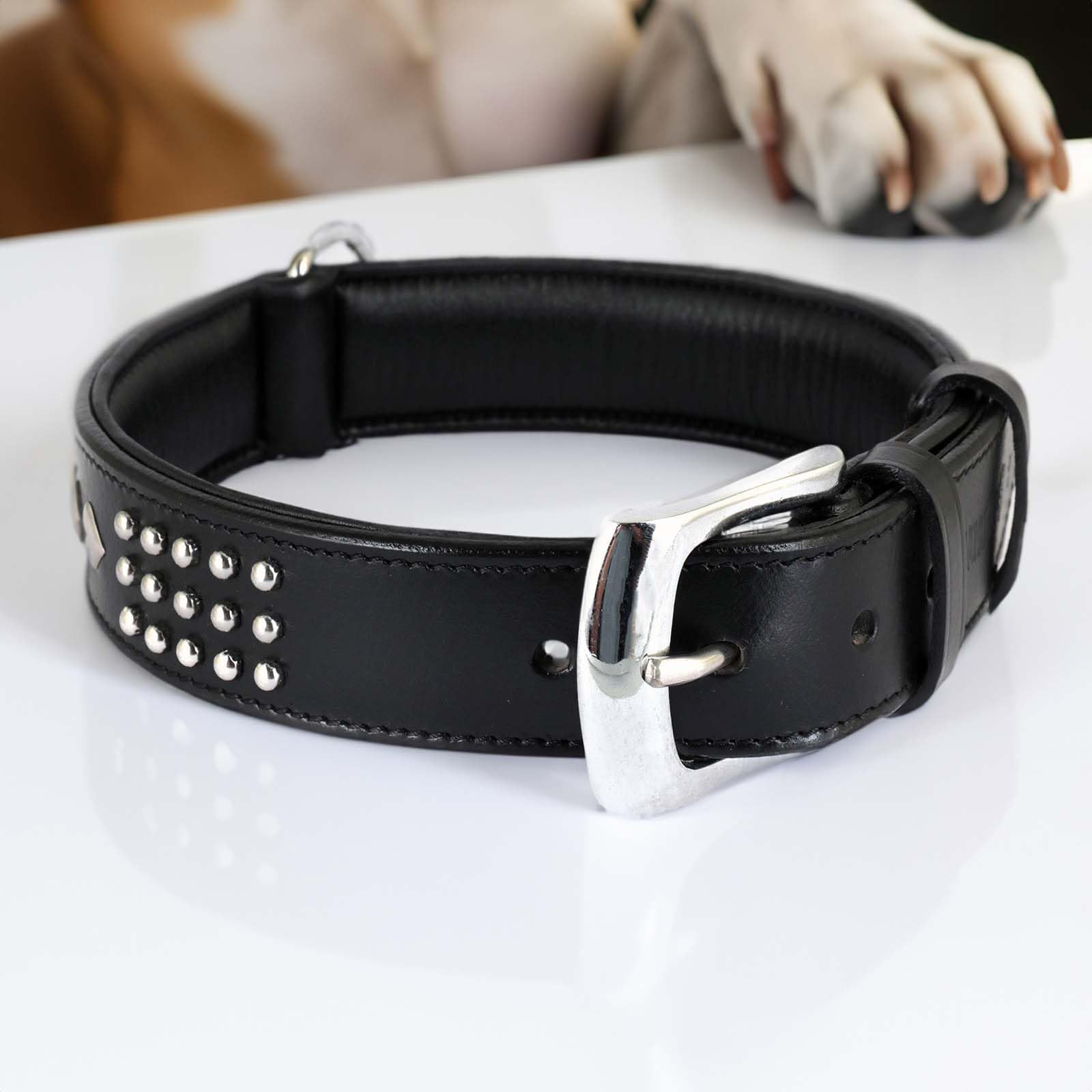 Monkimau Collar para Perros, Collares de Perro de Piel Auténtica con Remaches Acolchado Ajustable (L-XL: 35 mm x 70 cm)