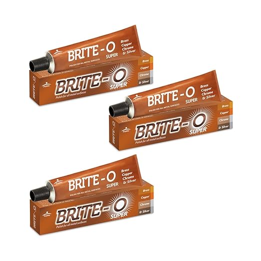 Pidilite Brite-O [25g] Super Rust & Stain Remover, Polish Protection For Metal Surface,Pack of 3