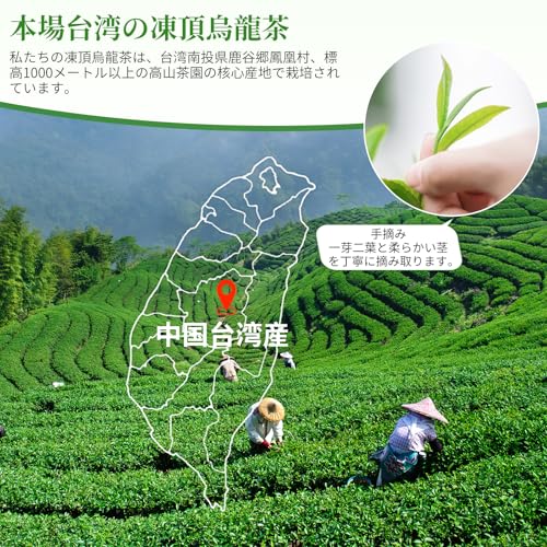 XIXICHA 凍頂烏龍茶 150g