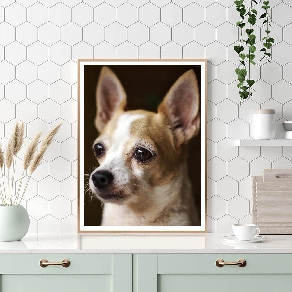 IPISSOI Diamond Art Chihuahua Dog 5D Diamond Painting Kits DIY Craft Full Round Drill Bead Crystal Mosaic Cross Stitch Home Wall Decor 12x16 inch