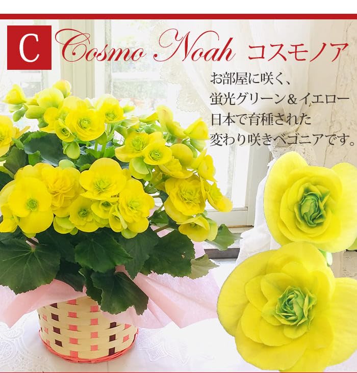 のんたん様＊ラピス×MOPクリスタルヘリコニアリーフカービングとサファイア他１点 のんたん様＊ラピス×MOPクリスタルヘリコニアリーフカービングと