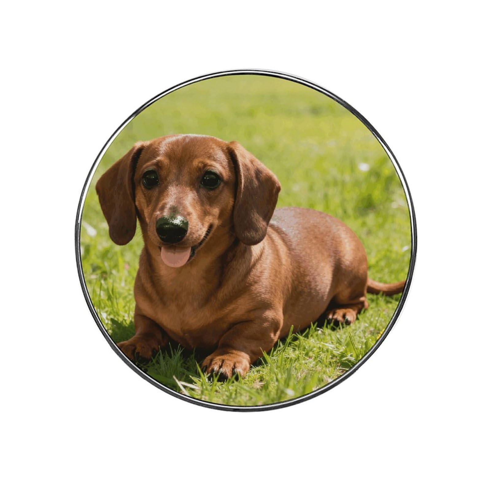 Cute Dachshund Customizable Refrigerator Magnets, Strong Magnetic Fridge Stickers, Funny Round Decorative Fridge Magnets for Home Kitchen, Whiteboard, Locker, and Office