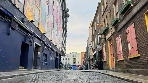 Chairperson of Temple Bar group calls for more garda&iacute; in area