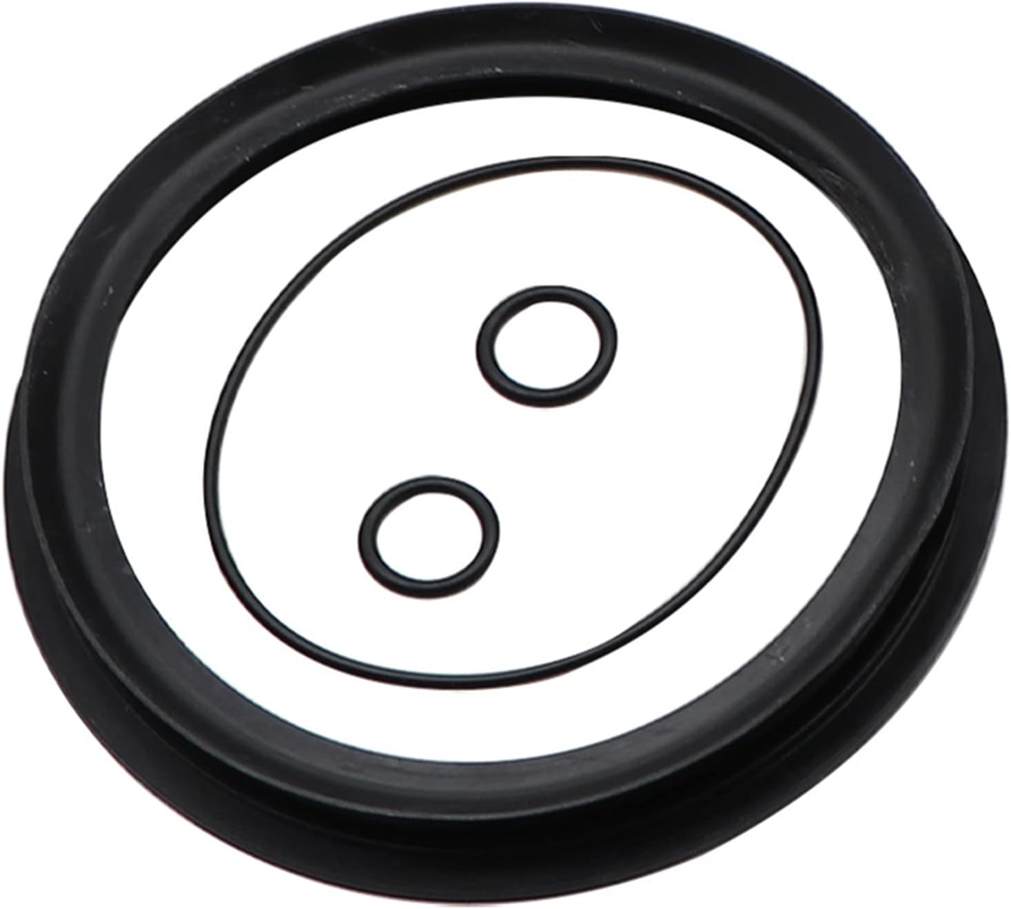 FZJDSD Fuel Filter Kit with O-Rings & Seals Compatible with BMW Mini Cooper S R50 R52 R53 A898 X6H2 2001 2002 2003 2004 2005 2006# 16146757196