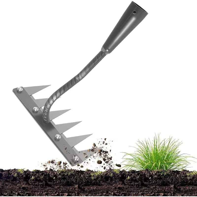 Image of MaxAgro Iron Weeding Rake 2.0, Iron Rake for Gardening and Weedings, Heavy Duty Gardening Hand Weed Puller Tools, 6 Teeth Carbon Steel Garden Weedings Rakes for Lawn Care (6 Teeth)
