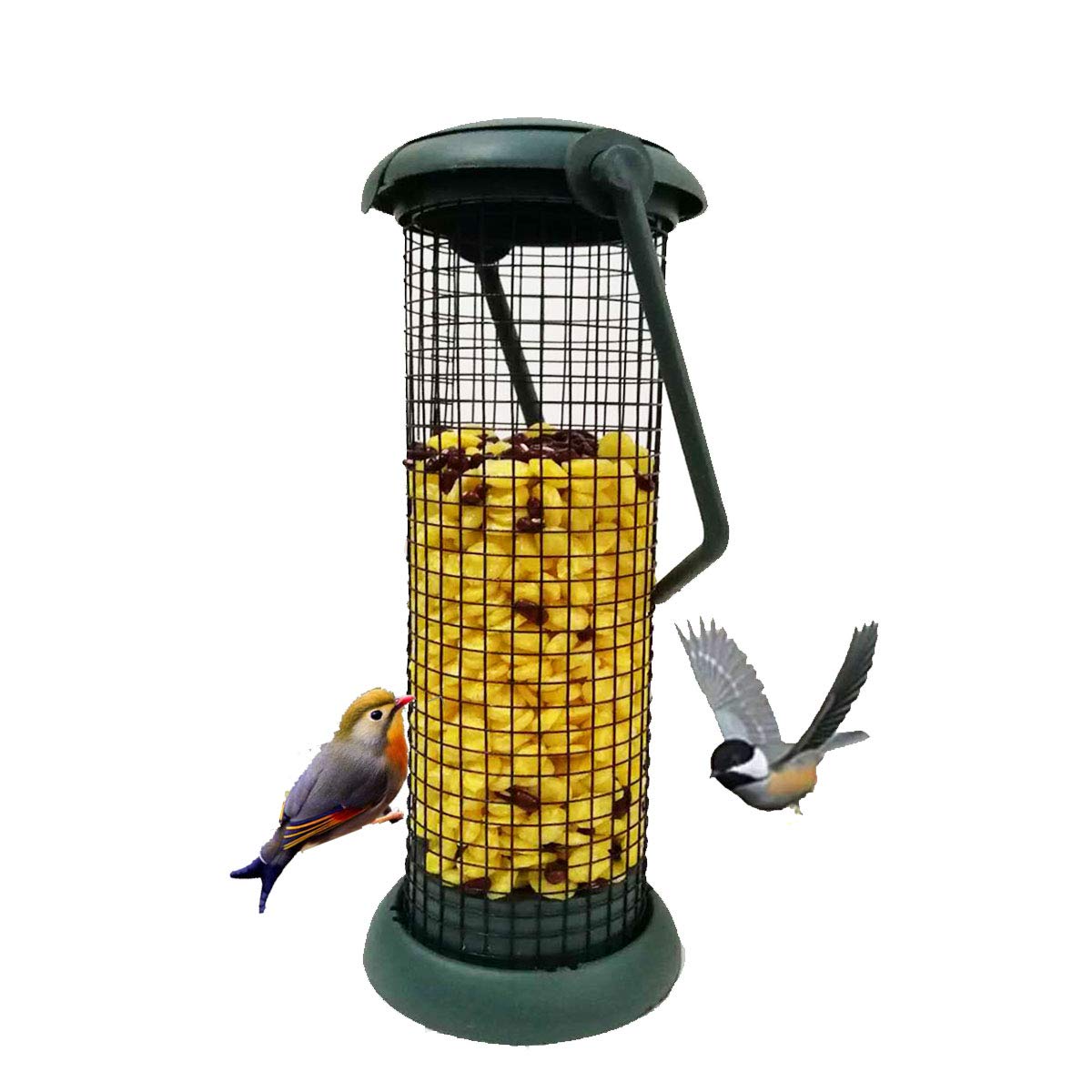 automatic wild bird feeder
