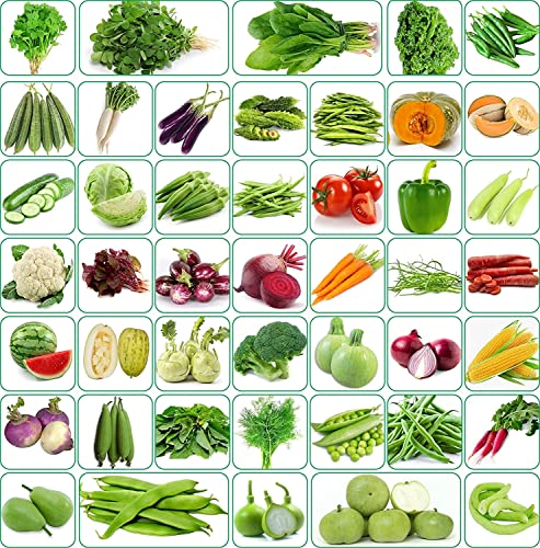 Image of 40 Vaeriety of Organic Vegetable Seeds Combo Suitable For All Season, Best to Grow At Indian Weather | Pack Of 2000+ Seeds|