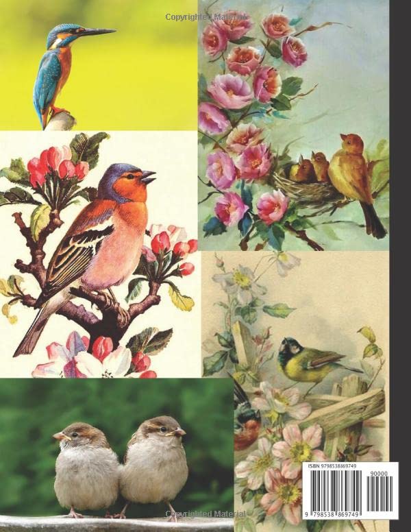 Vintage Bird Ephemera (Cut Collage): 24 Sheets, One-Sided Decorative Paper for Junk Journaling, Scrapbooking, Decoupage, Collages, Card Making & Mixed ... Collage) (Bird-Themed Cut-out and Ephemera) - Image 2