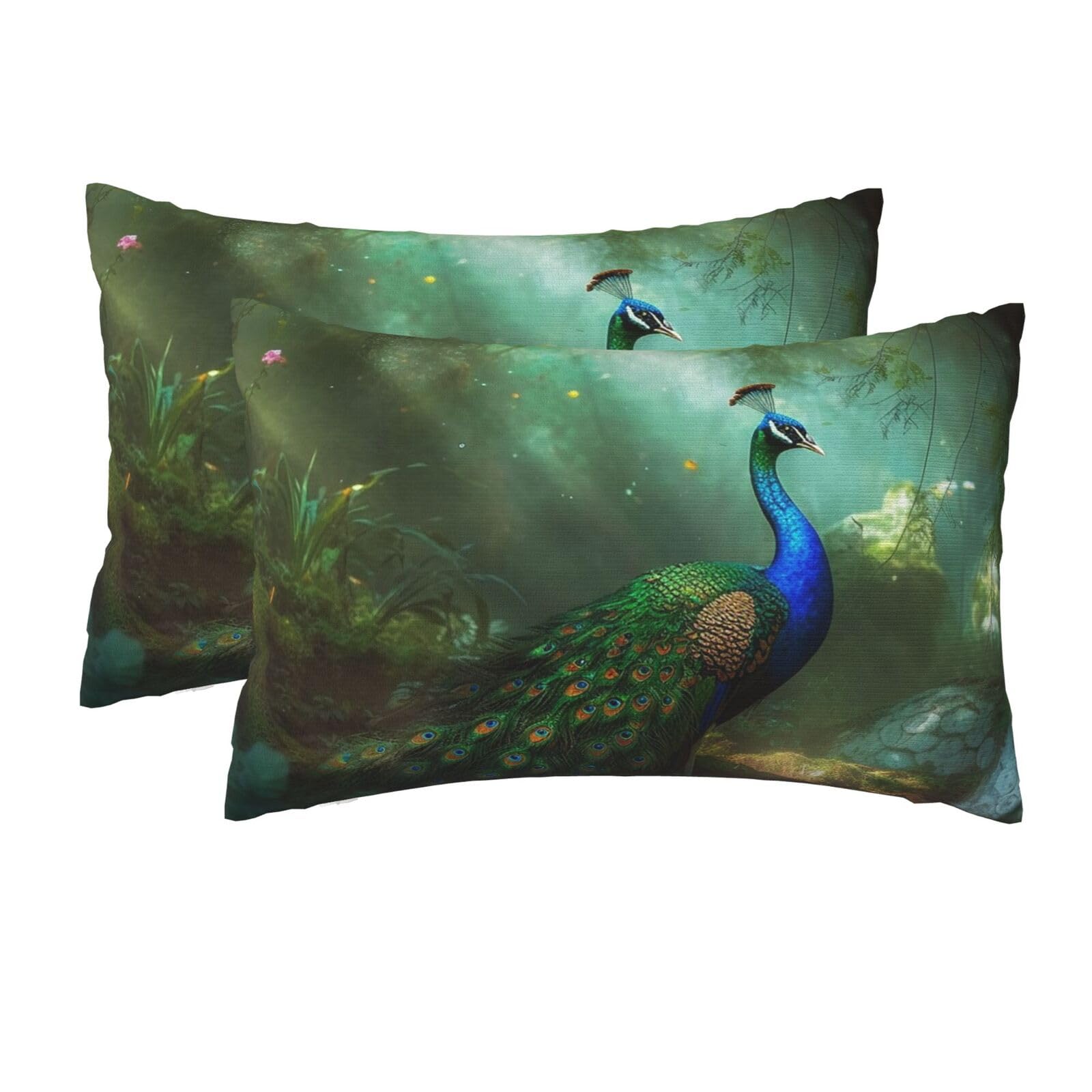 2 Pack Queen Size Pillow Cases for Hair and Skin Soft Breathable Pillow Case Covers with Hidden Zipper Peacock Pillowcase 20x30 Inches Pillow Cover for Sleeping Gift