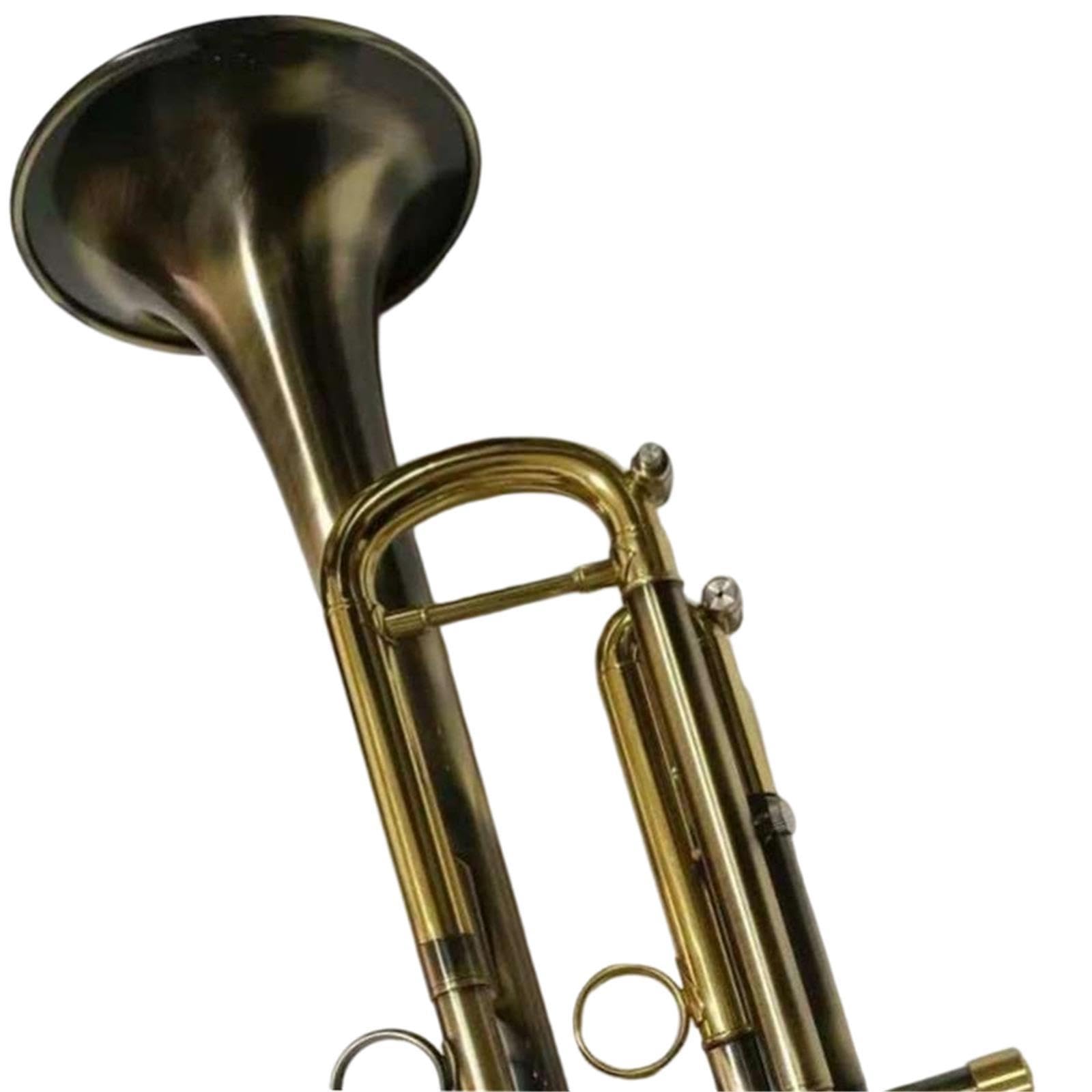 Trumpet Trompeta en si bemol principiante