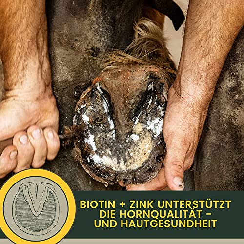 EMMA Mineralfutter Pferd 5kg + Biotin Zink Selen – Mineralien Komplex mit Magnesium & Bierhefe – Pellets & Amino Paste 30ml – Huf Fell Haut Fellwechsel – Pferdefutter für Starke Hufe & Vitalität