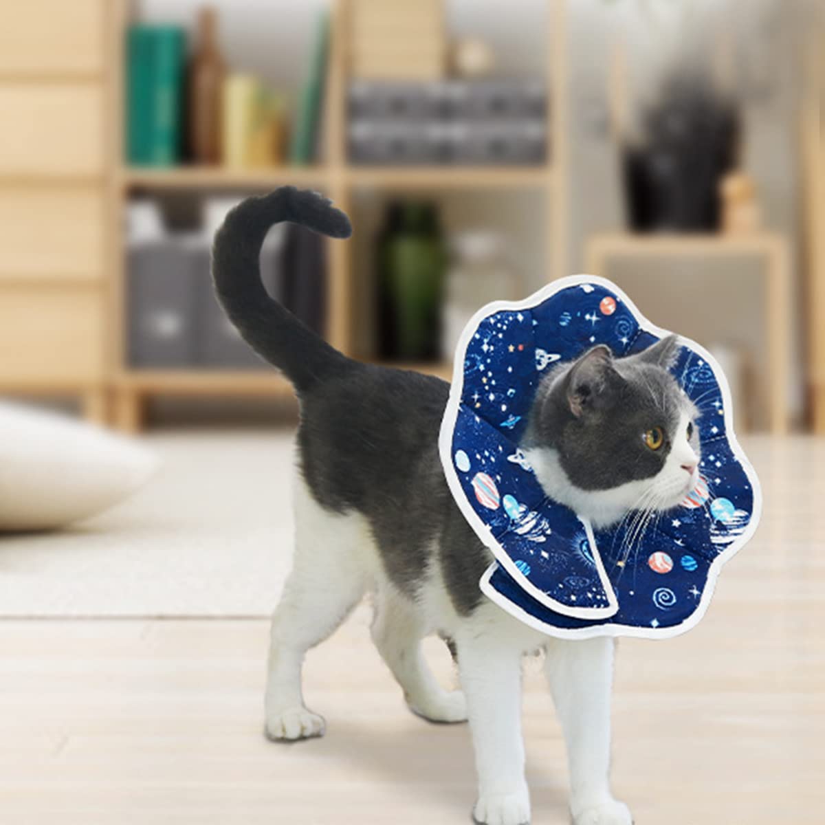 Avaner Cat Recovery Collar, Cat Cone Collar for After Surgery Pet Protective Collar Adjustable or Small Medium Large Cats, blue,A57-06 - Image 2