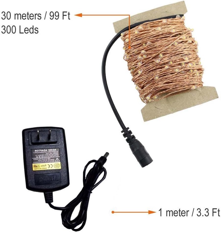 99ft 300 LED Warm White Copper Wire Waterproof String Fairy Light Lamp Decoration Lighting with 12V AC Adapter for Christmas Party Wedding(30m)