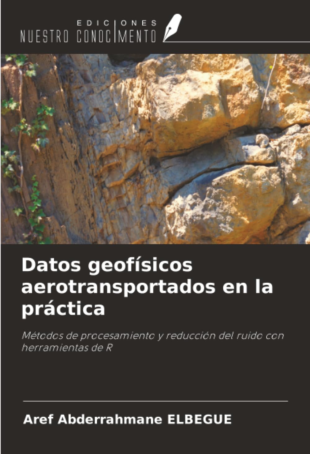 Datos geofísicos aerotransportados en la práctica: Métodos de procesamiento y reducción del ruido con herramientas de R