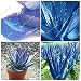 New 2016 new blue aloe seeds, rare courtyard balcony potted plants, herbs, easily grown plants 50 PCS/bag