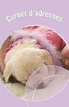 Download Carnet d'adresses: Adresse / Telephone / E-mail / Anniversaire / Site Web / Log in / Mot de passe PDF