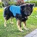 Nobby 30 cm Hunde-Kühljacke Light - Ultraleicht - sauffähiges Eva Gewebe - einfach Wasser einfüllen