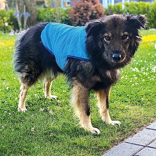 Nobby 30 cm Hunde-Kühljacke Light - Ultraleicht - sauffähiges Eva Gewebe - einfach Wasser einfüllen