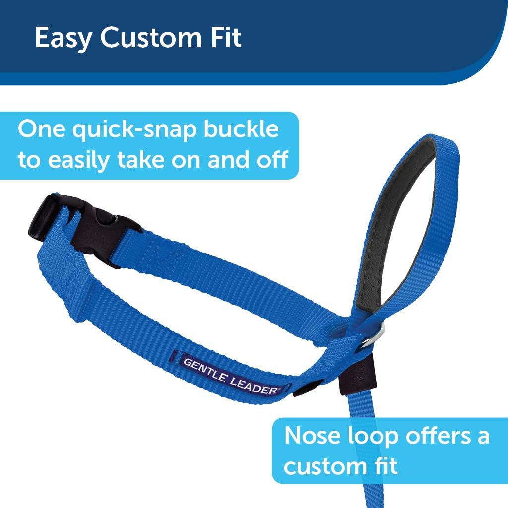 PetSafe Gentle Leader Head Collar with Training DVD, MEDIUM 25-60 LBS., BLACK : Pet Headcollars : Pet Supplies