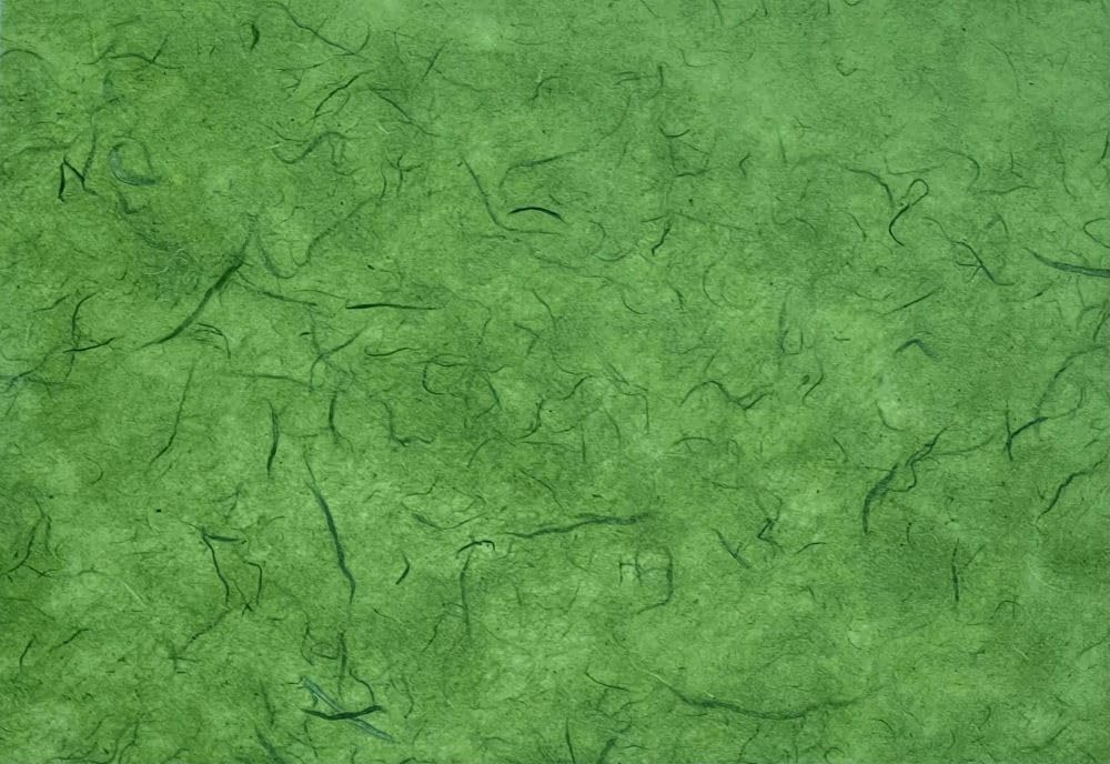 A5 50 Sheets Natural Fiber Mulberry Tree Mulberry Paper Sheets Art Tissue Washi Paper Design Craft Art Origami Suppliers Card Making 8.3" x 5.8". (Green Tone, A5) image 4