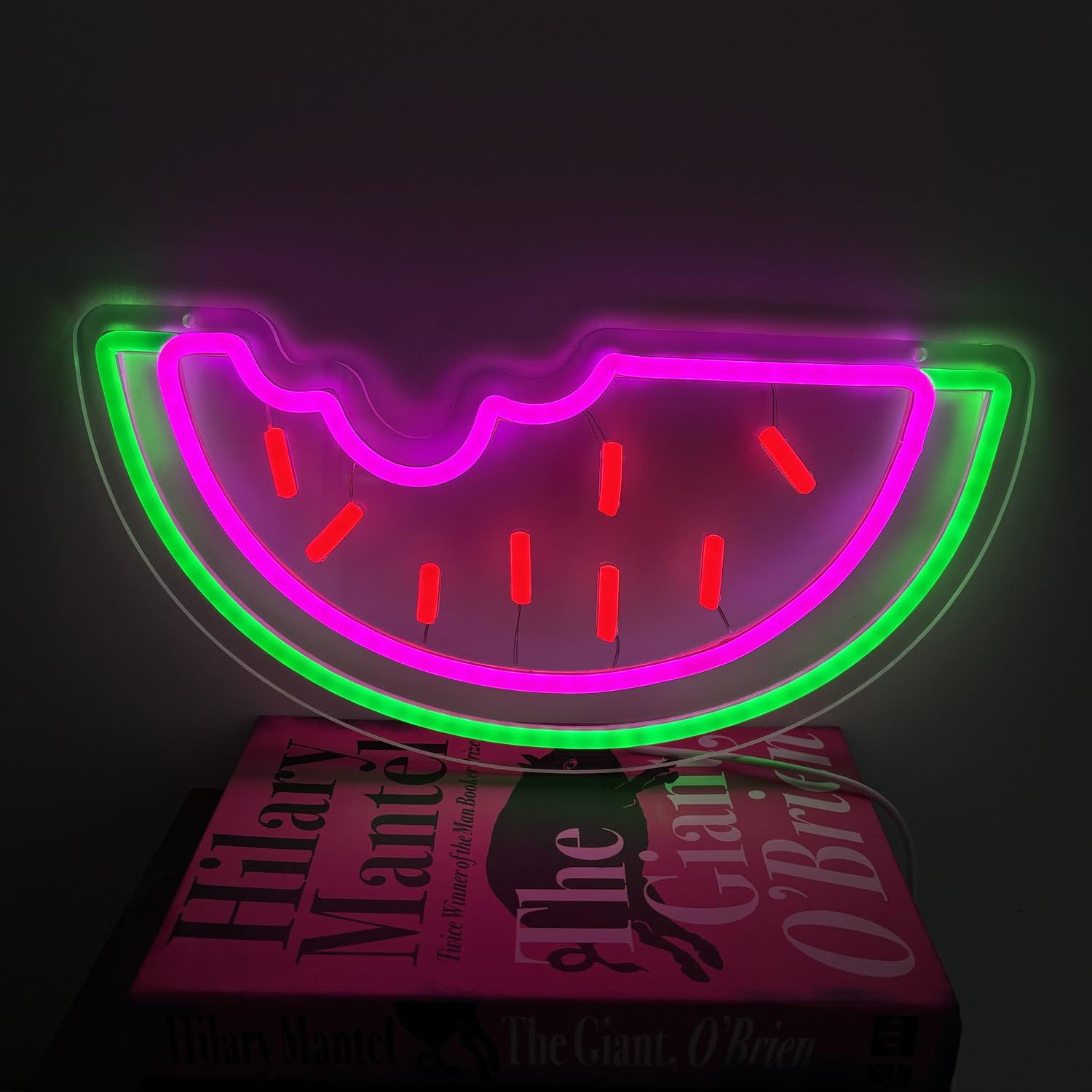 Panneau néon pastèque LED - Applique murale - 35 x 17 cm - Acrylique - Pour fête
