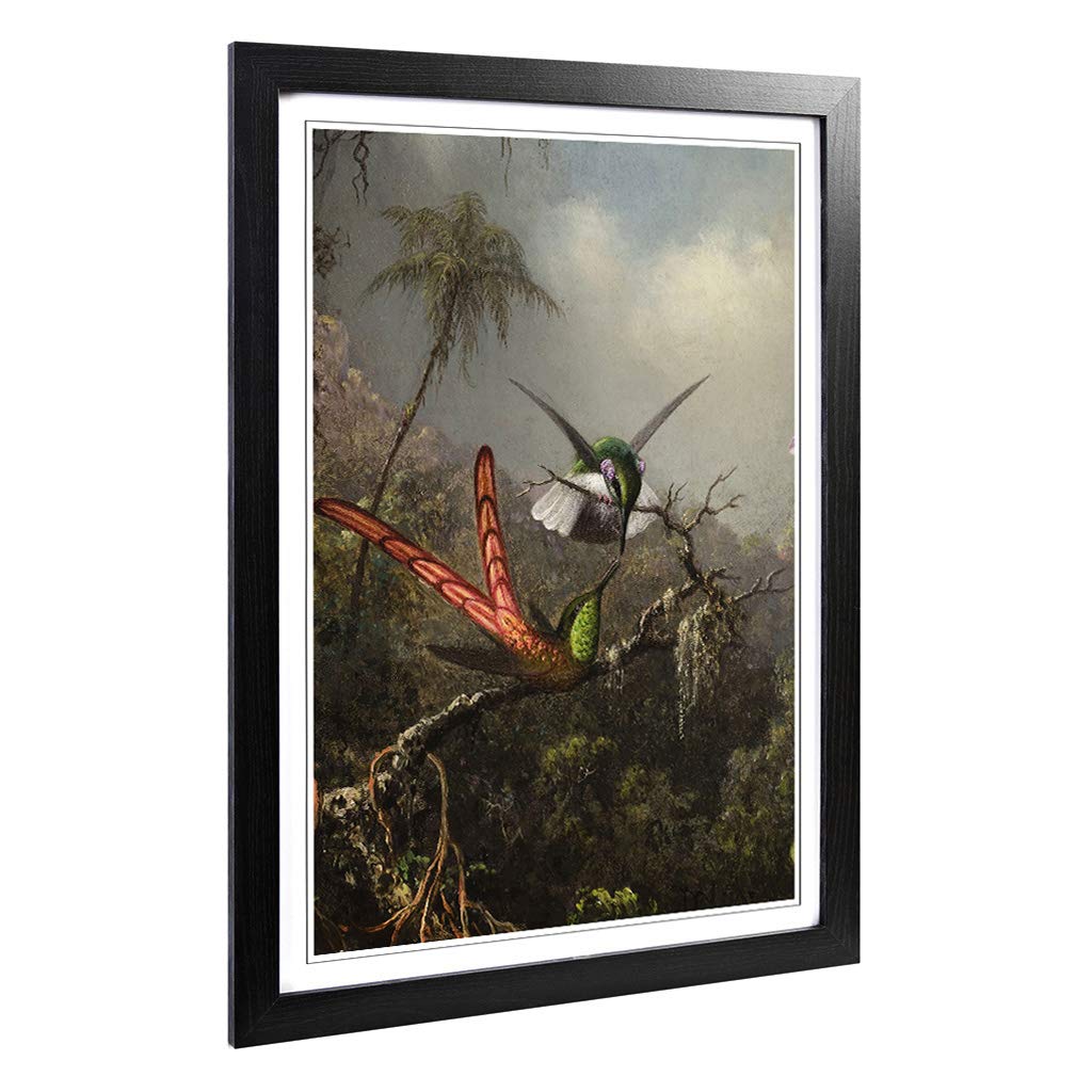 Big Box Art Framed Print of Martin Johnson Heade Orchid with Two Hummingbirds Design | Wall Art Picture| Home Decor for Kitchen, Living Room, Bedroom, Hallway, Black, A2 / 24.5x18 Inch / 62x45cm