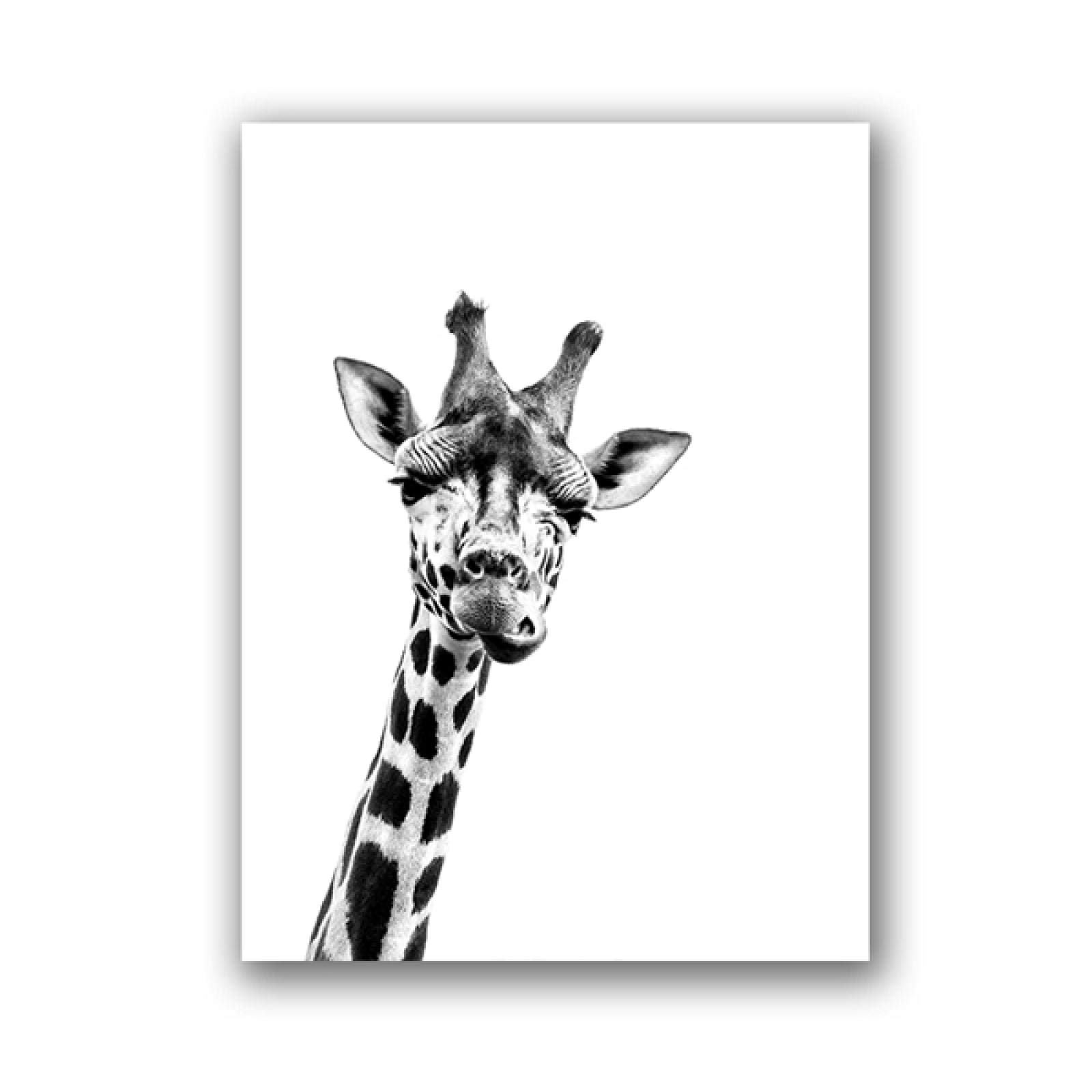Jirafa Safari Animales Negro Blanco Lienzo Póster Arte de la Pared Pintura Guardería Bebé Jirafa Fotografía Impresión Niños Habitación Decoración 60x80cmx3pcs Sin Marco