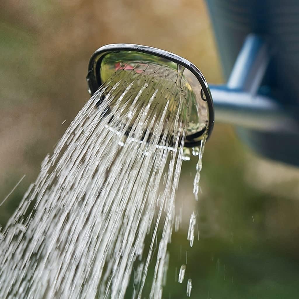 Watering Can Watering Can,Watering Can for Garden, Detachable Shower Rose Head Long Spout Water Can for Indoor and Outdoor (3L, Green,Blue) Decorative Watering Can(B)