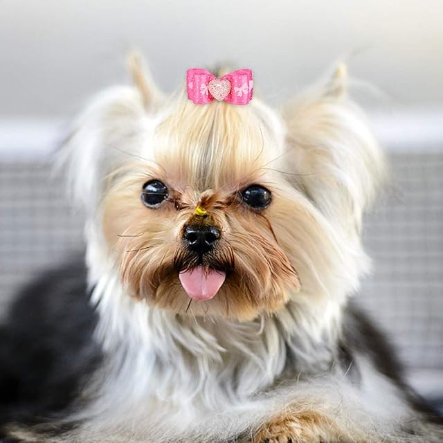 Foto 5 de 8 de Set de 15 Pajaritas para Mascotas