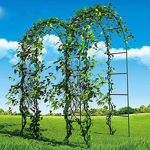 Arche de jardin extérieure résistante aux intempéries pour mariage
