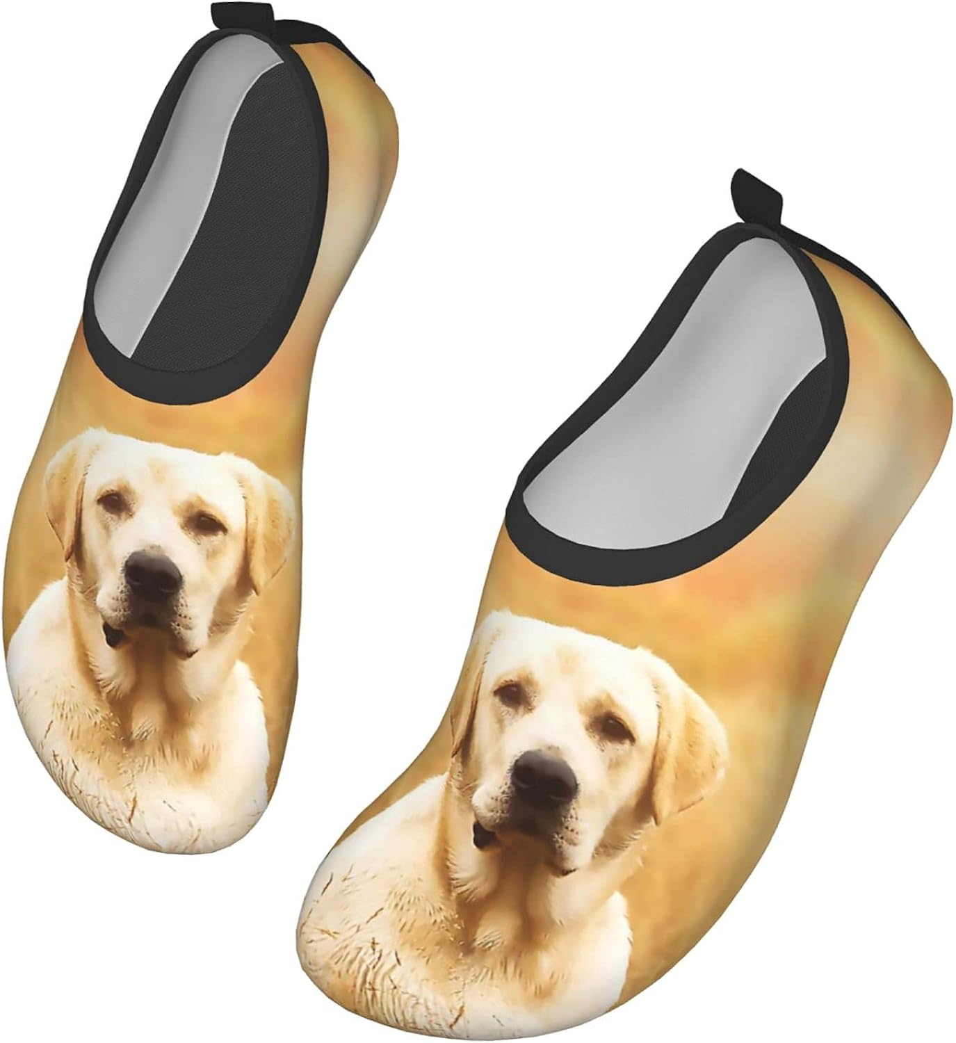 dog pool shoes