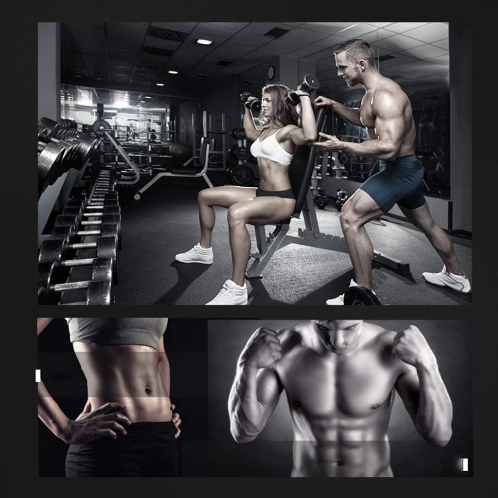 Weights Bench Standard Weight Benches Dumbbell Bench, Adjustable Weight Bench, Home Training Lifting Sit Up Ab Bencholympic Weight Benches