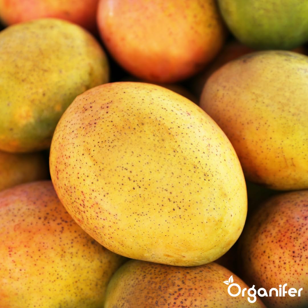 Fertilizzante liquido organico 1L per mango – crescita ottimale e frutti rigogliosi – Organifer