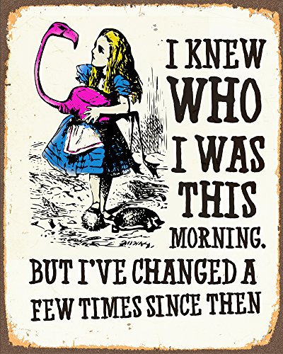 Plaque en métal Alice au pays des merveilles avec inscription « I've Changed » - 15,2 x 20,3 cm - Poster vintage rétro - TN1033