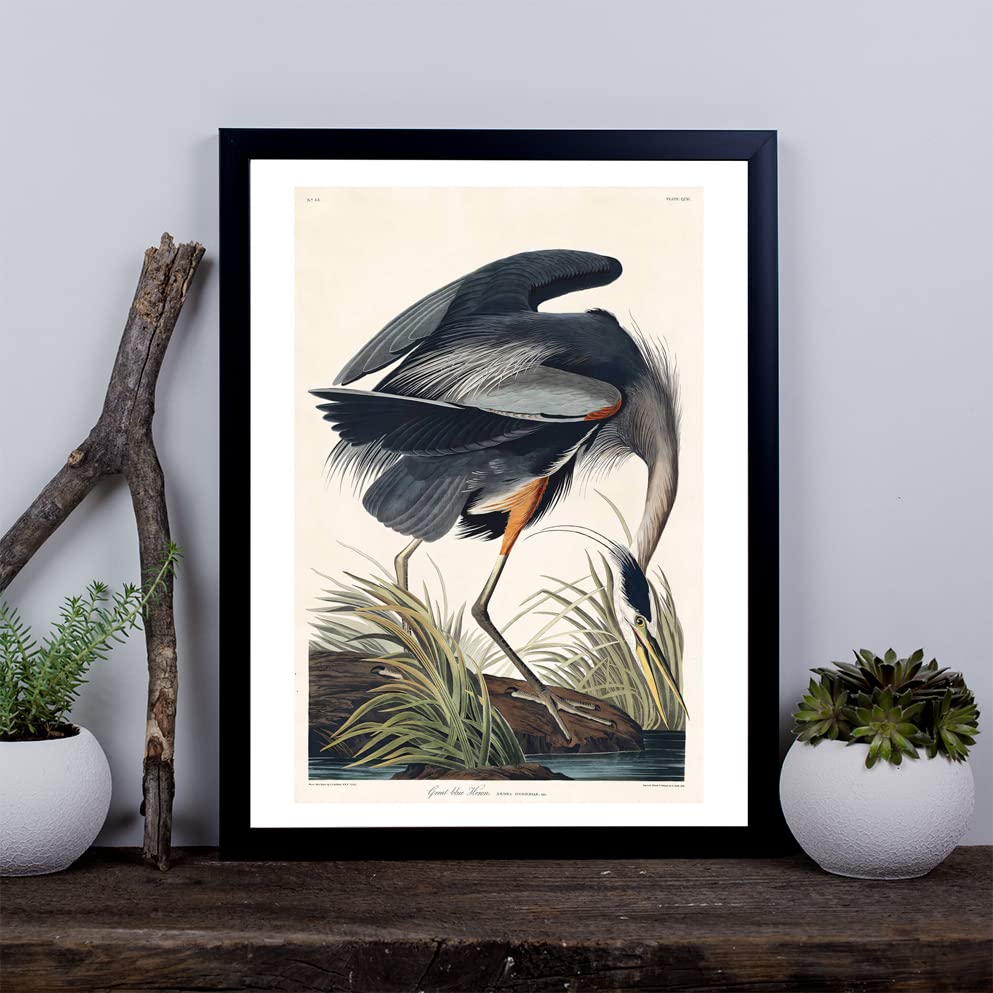 Ardea Herodias impression encadrée haut de gamme John James Audubon