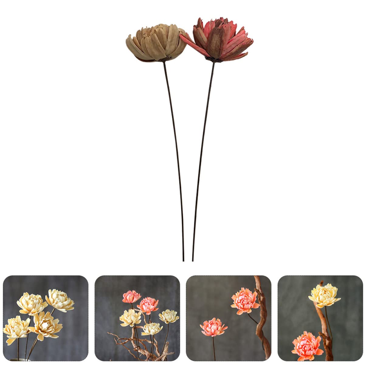 Alipis 6pièces Bouquet Décoratif Naturel Séché De Fleurs Préservées pour Décoration Intérieure Artisanat Ambiance Naturelle pour Maison Et Événements